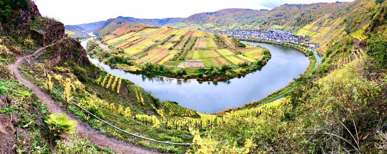 コブレンツHaus Am Ufer Mit Rheinpanoramablickアパートメント エクステリア 写真